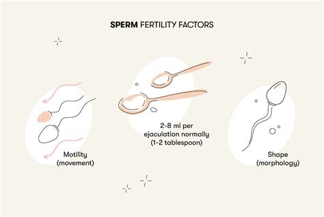 can foamy sperm get you pregnant|how long sperm to get pregnant.